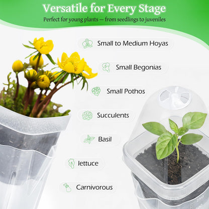 LEMEWEL 12 Pack 2.5" Self Watering Propagation Pots with Humidity Dome, Clear Plastic Seed Starter Cups, for Seedlings, Cuttings, Succulents, Herbs, Vegetables, 12 Plant Labels Included