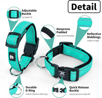 NESTROAD Dog Collar and Leash Set,Reflective Dog Collars with Quick Release Buckle,Adjustable Nylon Pet Collar for Small Medium Large Dogs(Medium,Teal)