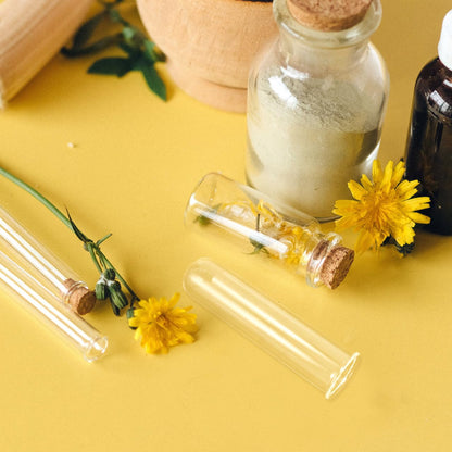 IWOWHERO 5Pcs Plant Propagation Station Glass Plant Test Tube Planter Pot Holder for Hydroponics for Home Office Planter Hanger Flower Vase Wall Decor Hydroponic Cuttings Clear