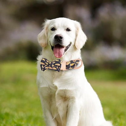 Dog Collar and Leash Set Adjustable Girls Puppy Floral Collars with Bow Tie for Small Medium Large Dogs(L, Feather)