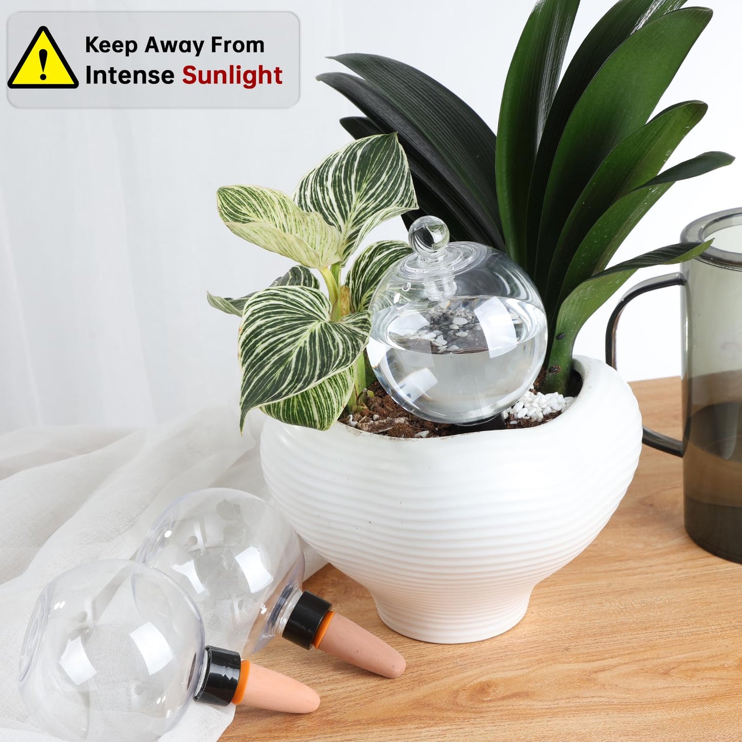 Ansberta 6 Pack Plant Watering Globes with Covers 17oz Self Watering Planter Insert, Plastic Water Bulbs, Indoor/Outdoor Plant Watering Devices for Automatic Drip Irrigation