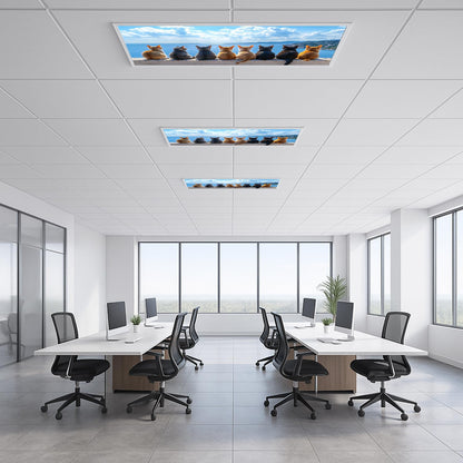 2 Pack Fluorescent Light Covers for 2 X 4 Ft Ceiling Lights – Magnetic Ceiling Light Cover Panels, Easy to Install, Ideal for Office, Classroom & Home Ceiling Lighting Decor