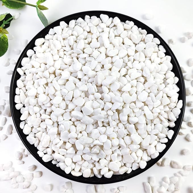 YISZM 2LB Succulent and Cactus Gravel Pebbles, 1/5 Inch White Natural Decorative Polished Stones, River Rocks for Plants, Vases, Aquariums, Terrarium and Outdoor Gardening,White