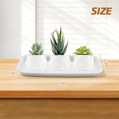 AXGSRV Plastic Pallet, Heavy Duty Warehouse Storage Platform with Non-Slip Surface, Industrial Grade Plant Tray for Logistics Manufacturing and Oblong Plant Saucer