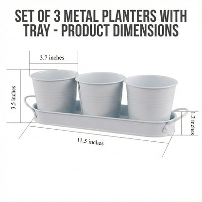Herb Garden Planter Set – 3-Pcs Set Galvanized Metal Herb Planters for Indoors Plants with Tray – Indoor Plant Pots for Apartment Window, Balcony, Garden – Potting Pots for Herbs and Flowers