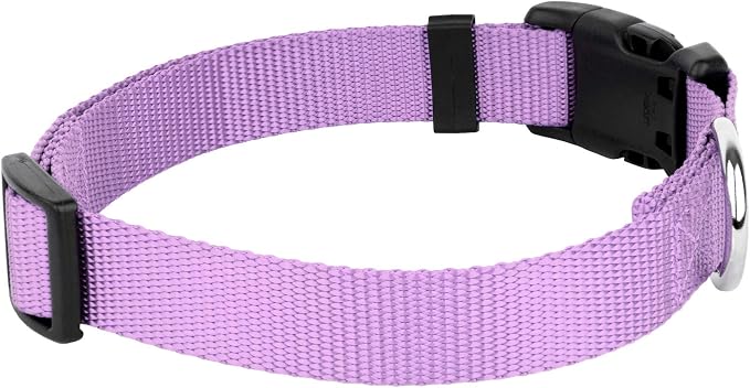 Country Brook Petz - Everyday Nylon Dog Collar and Leash - 10+ Cool Colors (3/8 Inch, 2XS, Lavender)