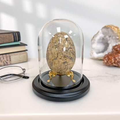 Plymor 3" x 4" Glass Display Dome Cloche (Black MDF Wood Base)