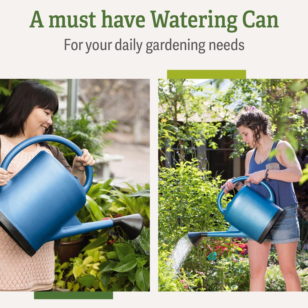 Gardener’s Supply Company French Blue Watering Can | 3 Gallon Indoor Outdoor Water Container for Plants and Garden with Removable Stainless Steel Faceplate Rose Sprinkler Attachment - Blue