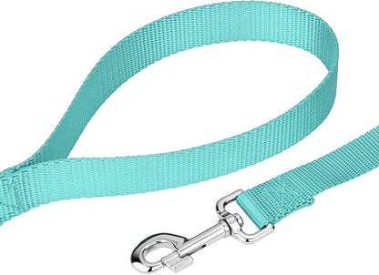Country Brook Petz - Everyday Nylon Dog Collar and Leash - 10+ Cool Colors (3/4 Inch, Medium, Light Cyan)