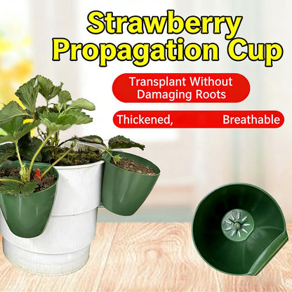 ordinarYone Breathable Strawberry Propagation Cups with Runner Forks for Root Rot and Promoting Growth in High Hu