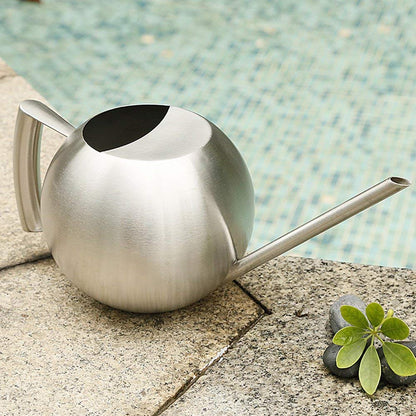 Fdit Watering Can for Indoor Plants, Stainless Steel, Long Spout, 1.0L, Silver, 11.42 Inch