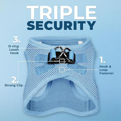 Best Pet Supplies Voyager Step-in Air All Weather Mesh Harness and Reflective Dog 5ft Leash Combo with Neoprene Handle, for Small, Medium and Large Breed Puppies - Baby Blue, Small