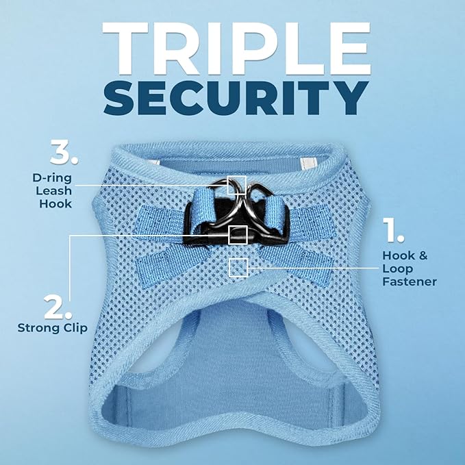 Best Pet Supplies Voyager Step-in Air All Weather Mesh Harness and Reflective Dog 5ft Leash Combo with Neoprene Handle, for Small, Medium and Large Breed Puppies - Baby Blue, XXX-Small