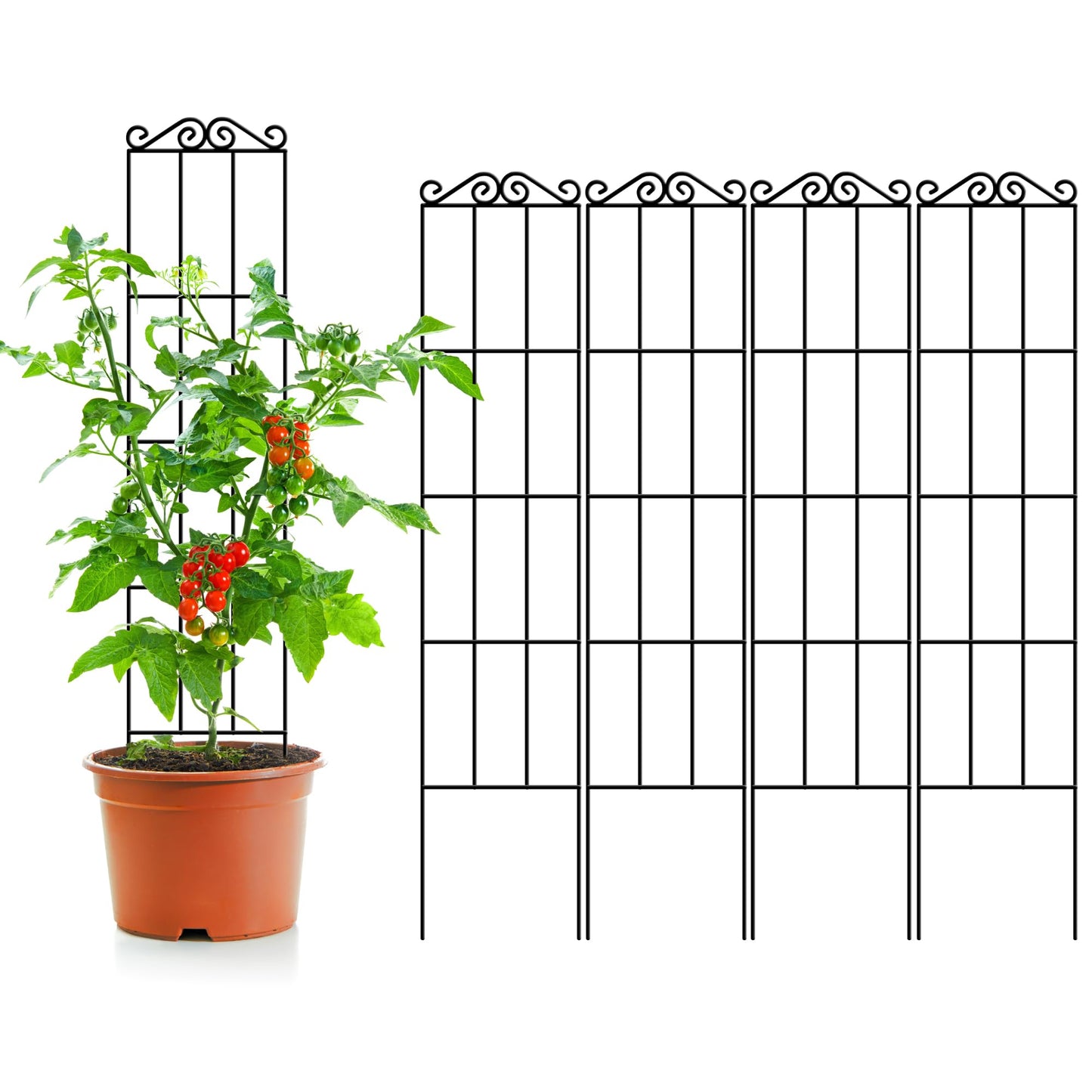 ARIFARO 57.5'' Metal Garden Trellis for Climbing Plants,(Pack of 4) Indoor/Outdoor Sturdy Plant Trellis for Potted Plants,House Plants, Climbing Vines, Black