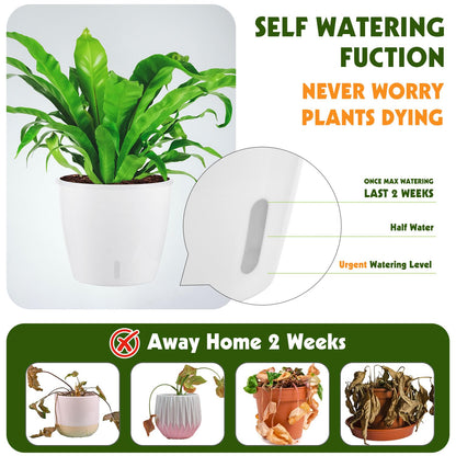 KvyusFlourish Self Watering Pots for Indoor Plants, 6-Pack 5'' Self Watering Planter with Drainage Holes, Small African Violet Pots with Water Indicator, Clear Wick Orchid Pot, White
