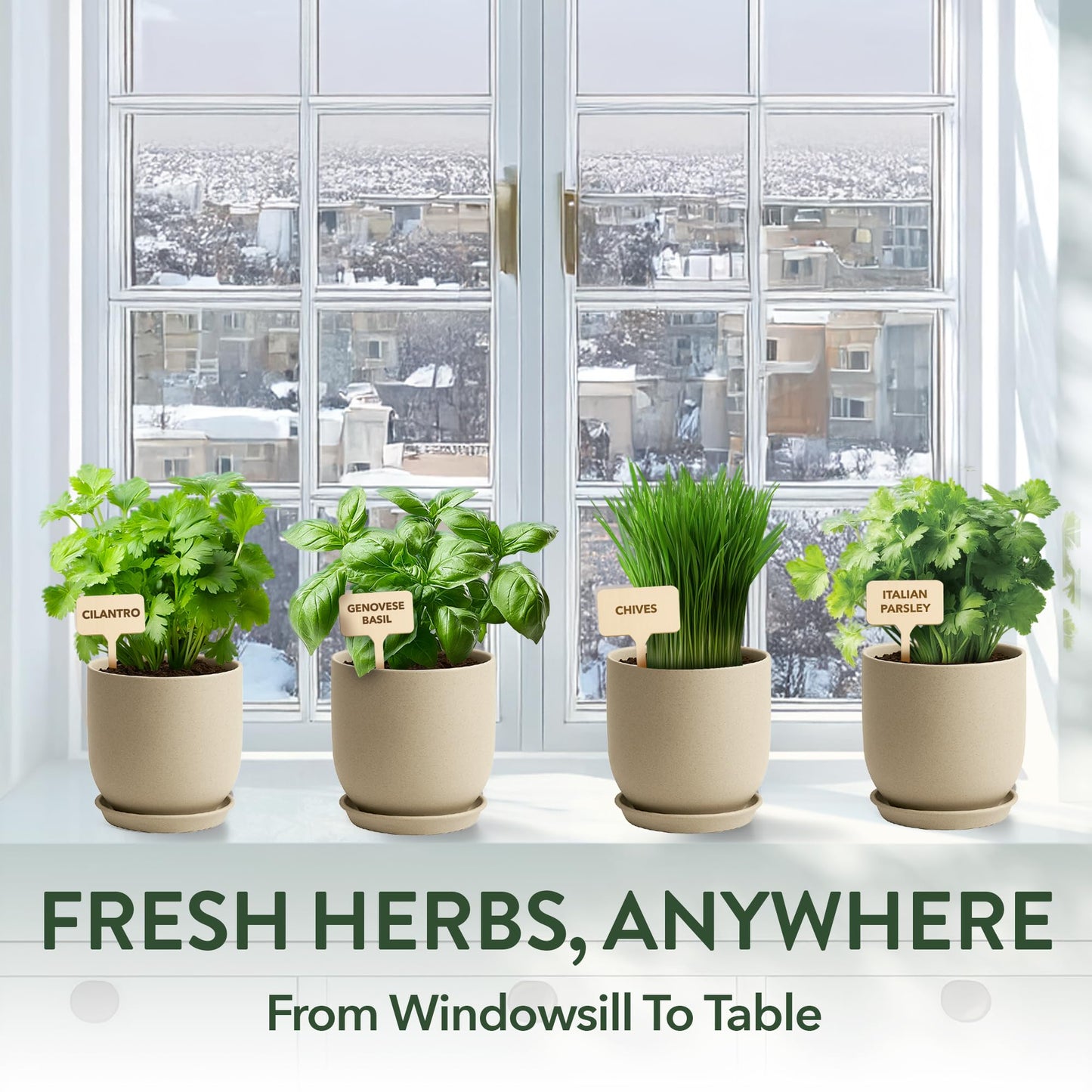 HOME GROWN Indoor Organic Herb Garden Kit, Unique Valentines Day Gift for Adults, Men, & Women,Grow 4 Herb Seeds for Kitchen Window Garden,Beginner DIY Hobby Gardening for Plant Lovers, Mom & Dad