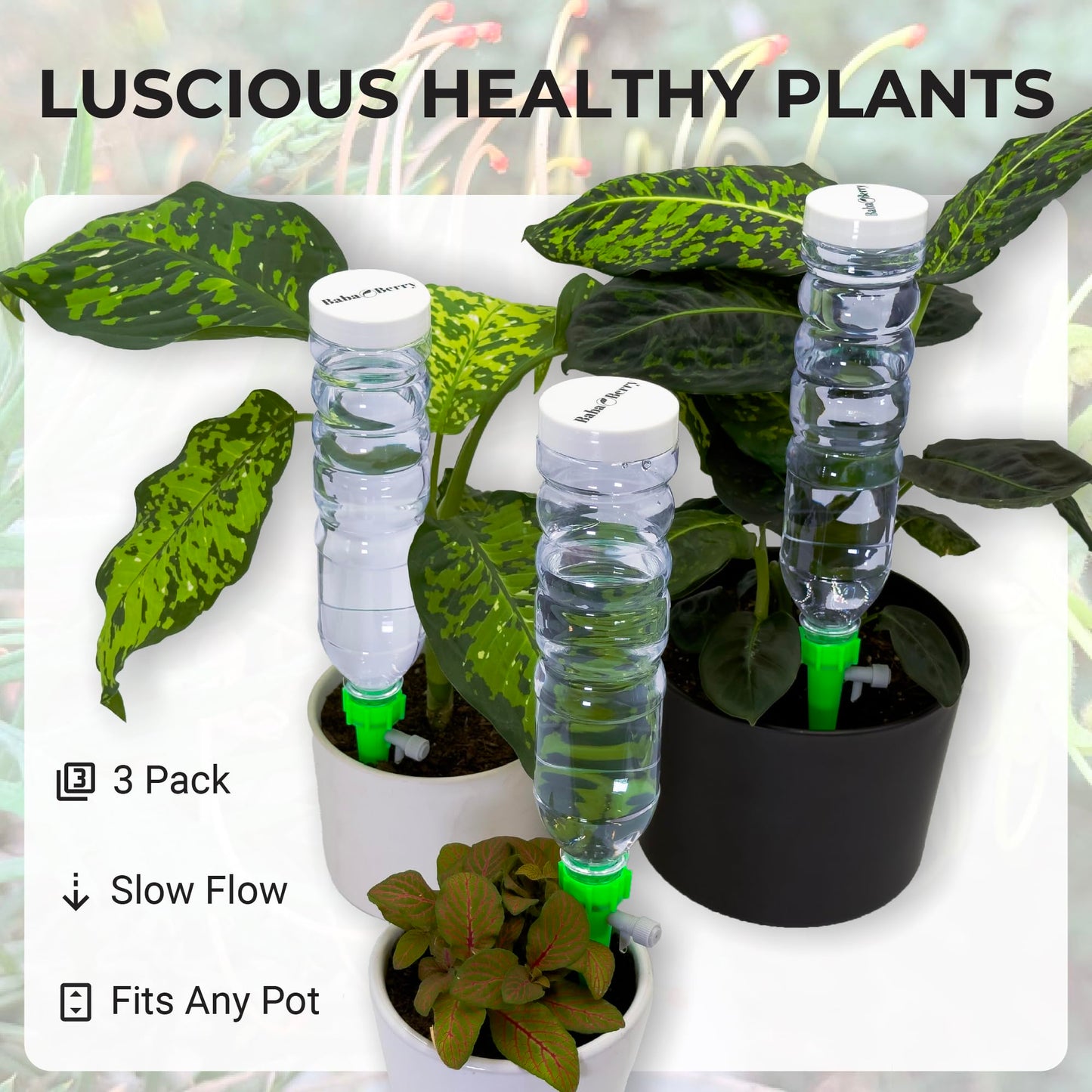 Self Watering Planter Insert Drip Spike High Capacity 20oz BabaBerry Dynamic Dripper Automatic Plant Watering Globes Dripper Device for Indoor or Outdoor Plants for Vacation Adjustable 3 Pack