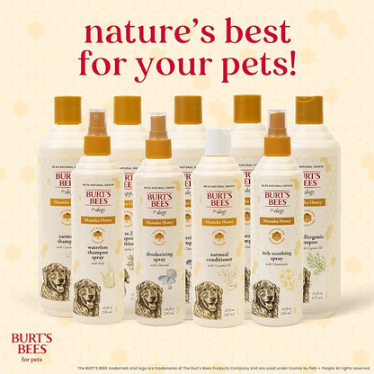 Burt's Bees for Pets Manuka Honey Oatmeal Shampoo for Dogs, Colloidal Oatmeal & Coconut Oil, 95%+ Natural Origin, No Sulfates, Parabens or Phthalates, Milk & Honey Scent, 16 Fl Oz