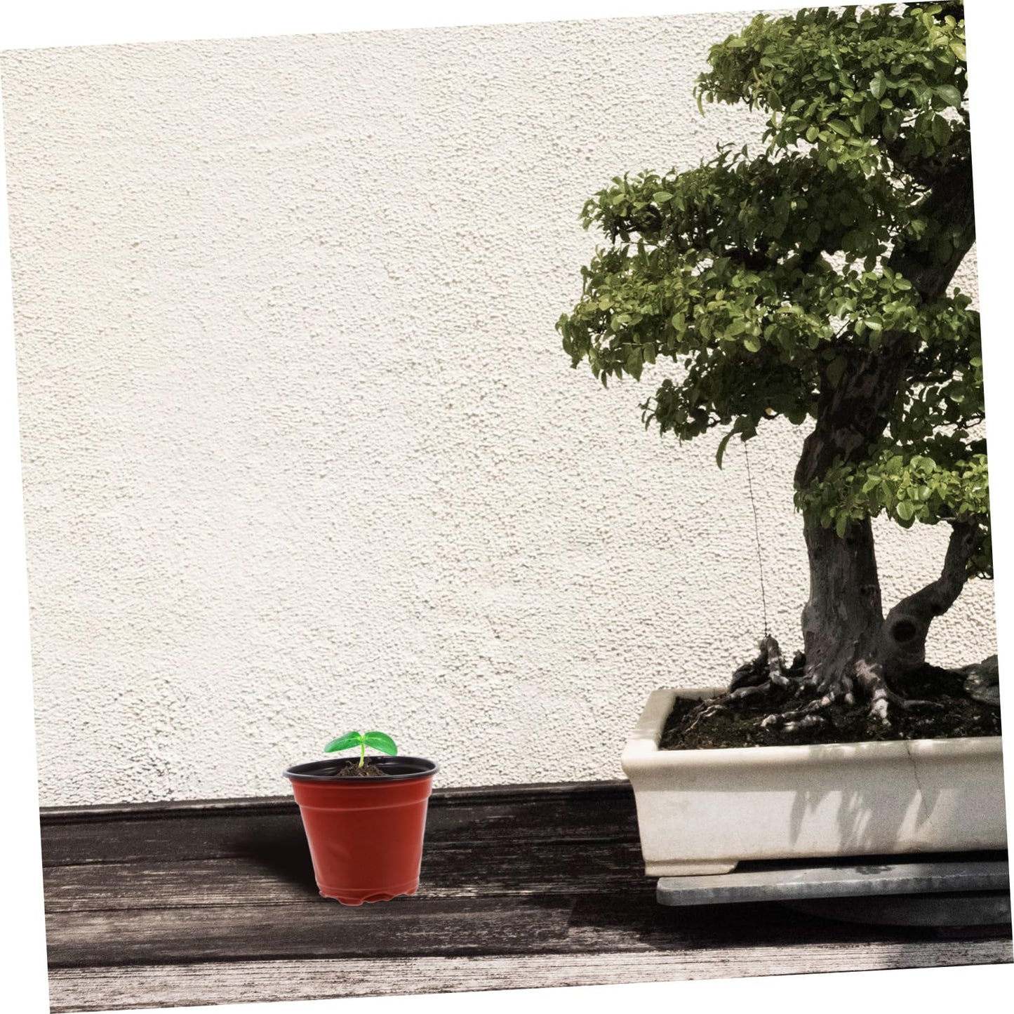 HAKIDZEL 100pcs Plastic Strawberry Nursery Cup Lightweight Plant Growing Pots for Flowers Vegetables and Saplings Great Air Permeability and Automatic Water Absorption for Your Garden