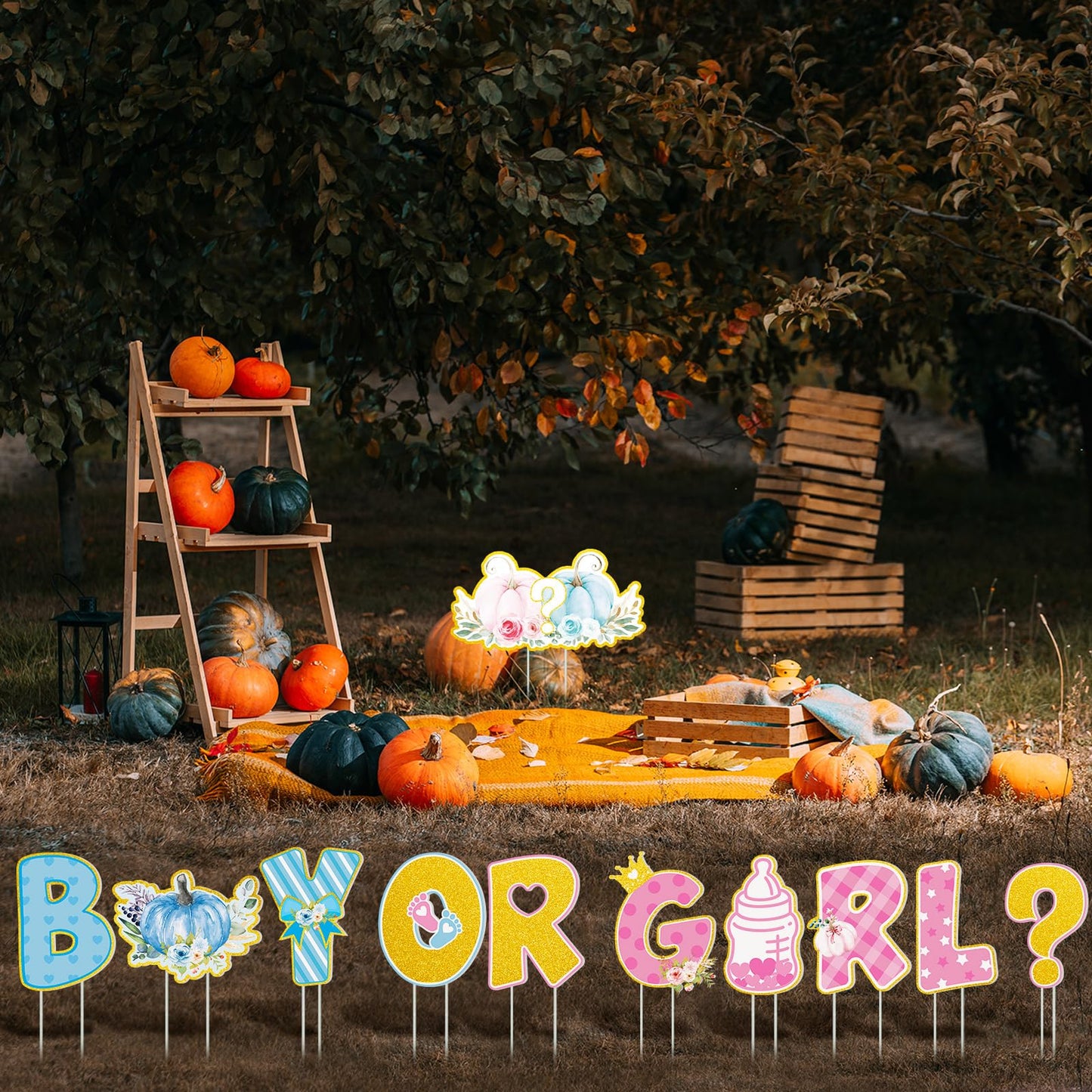 11 Pcs Little Pumpkin Thanksgiving Gender Reveal Decorations Boy or Girl Yard Signs with Stakes Fall Baby Shower Lawn Decor Gender Reveal Ideas He or She Yard Signs Baby Shower Party Supplies