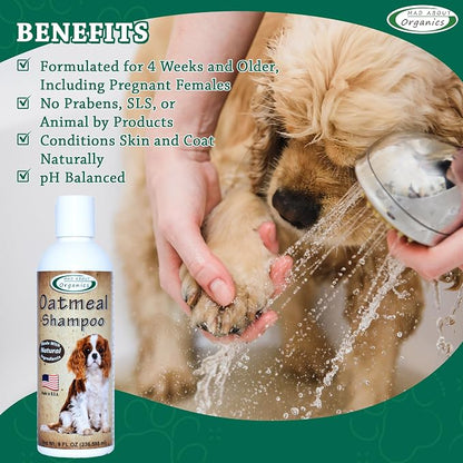 Oatmeal Dog Shampoo for Itchy Skin - Gentle, pH-Balanced Cleanser with Calming Vanilla & Lavender - Ideal for Dry, Flaky & Sensitive Coats - Mild Formula for Comfort (8 Ounce)