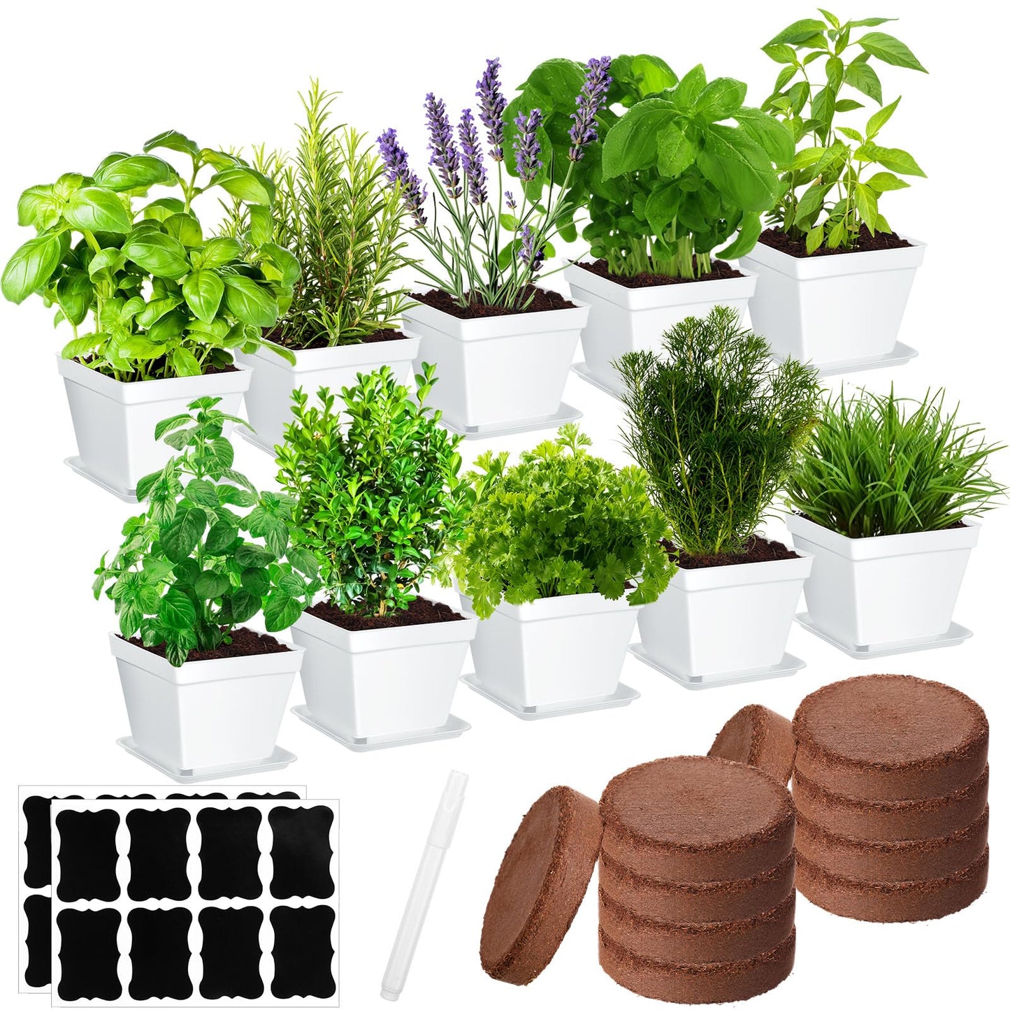 Ripeng 10 Set Indoor Herb Garden Starter Kit, Herb Growing Kit with Pots, Nutritional Soil, Plant Markers, Kitchen Window Planter, Gardening Gift for Women Men Indoor Outdoor