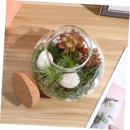 BESPORTBLE Glass Moss Bottle Empty Glass Jar Moss Crafts Home Decor Plant Terrarium