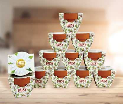 BUZZY Seeds Daydream Mini Terracotta Pots 12-Pack with Daisy Seed Packets – All-in-One Starter Set with Growing Medium and Easy Instructions, Gardening Gift, Wedding Favors, Corporate Gifting