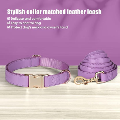 PET ARTIST Soft PU Leather Dog Collar and Leash Set, Bright & Stylish 5FT PU Leather Leash and Collar Set, Durable Pet Collars with Quick Release Metal Buckle for Medium Dogs,Purple,M(13-19")