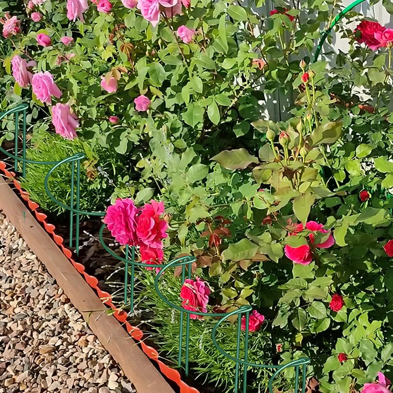 12 Pack Plant Support Stakes, 10" Wide x 24" High Half Round Metal Peony Cages and Support, Green Garden Plant Stake Plant Support Ring Border for Peony Tomato, Hydrangea, Flower Indoor Outdoor