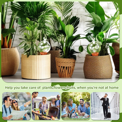 Teenyyou 3 Set Glass Self Watering Globes with Terracotta Self Watering Spike 12 oz Large Glass Waterer Bulbs Automatic Water Planter Insert Plant Water Device for Indoor Outdoor Plant(Clear,Classic)