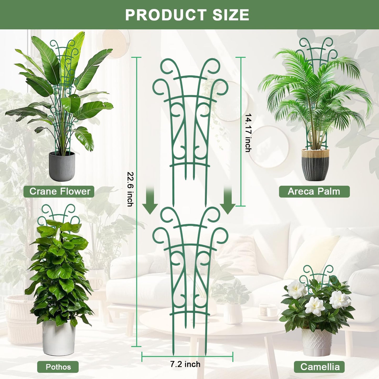 Qaobo 6 Pack Indoor Plant Trellis for Potted Plants, Stackable Garden Trellis for Climbing Plants Outdoor, Small Trellis for Houseplants Rose Hoya Pothos Plant Climber Support