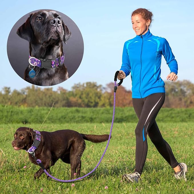 Ladoogo Reflective Dog Collar Padded with Soft Neoprene Breathable Adjustable Nylon Dog Collars for Small Medium Large Dogs (Medium (Pack of 1), Purple/Pink Floral Collar+Leash)
