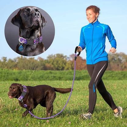 Ladoogo Reflective Dog Collar Padded with Soft Neoprene Breathable Adjustable Nylon Dog Collars for Small Medium Large Dogs (Small (Pack of 1), Purple/Pink Floral Collar+Leash)