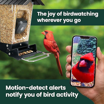 Perky-Pet Solar Powered Smart Bird Feeder with Camera - Squirrel-Resistant, 3.2L Capacity, Motion Activated 1080p HD WiFi Live Stream Camera, SPCAM, SPCAMSLR - Camera Feeder Gift Idea, Yellow