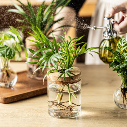 Plant Propagation Stations, 2 Style Glass Planter Terrariums, Propagation Vases for Plant, Plant Propagation Jars for Hydroponic Planter Home Office Tabletop Decoration (6)