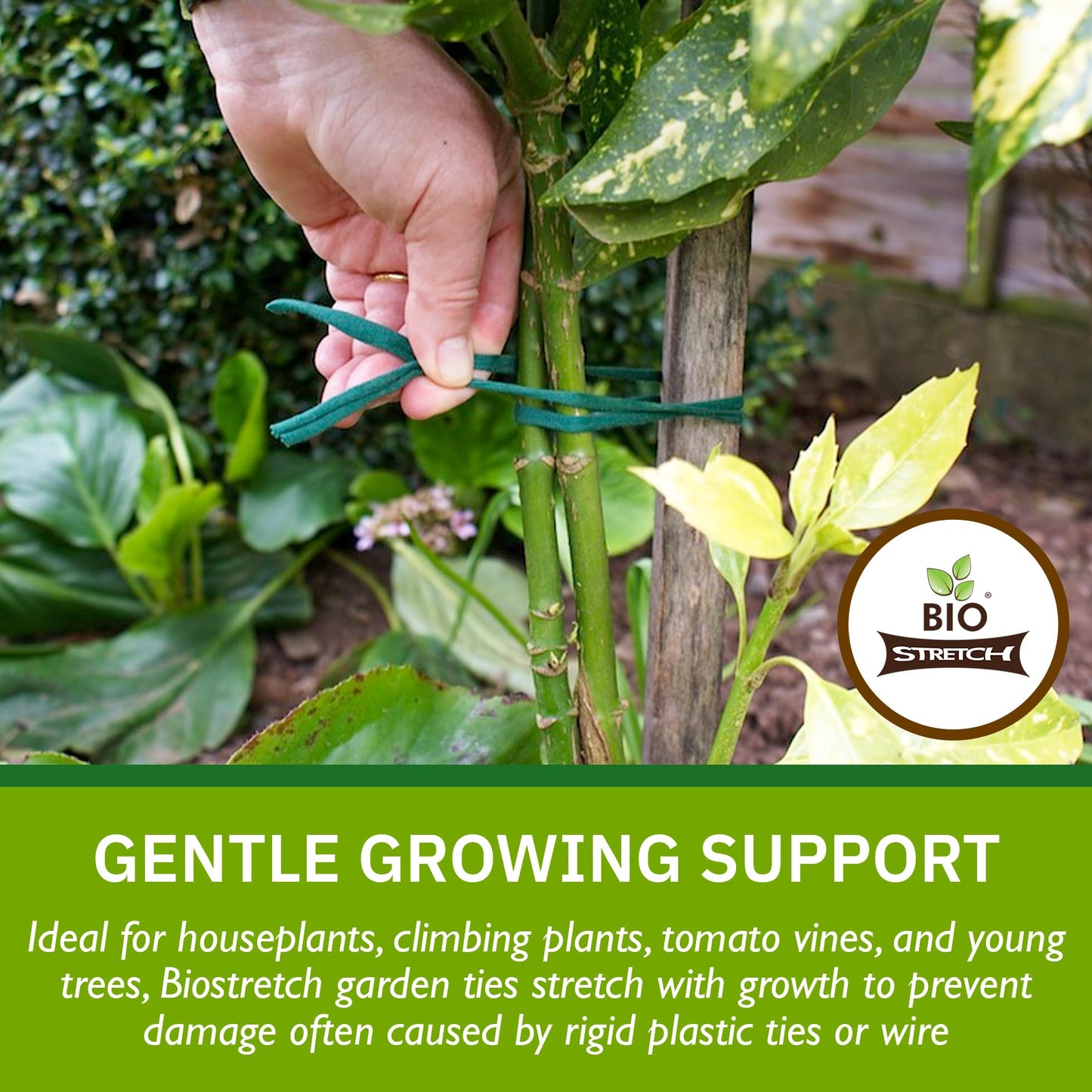 Bio-Stretch Soft Garden Plant Ties for Indoor & Outdoor Plants - Strong & Stretchy Cut-to-Length Plant Tape for Climbing Plants, Tomato Vines & Home Gardening (65 ft / 20M)