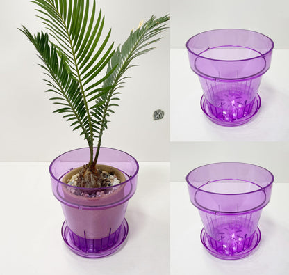 RISEON 3 Pack Clear Acrylic Plastic Orchid Pots with Holes and Saucers,Thick Acrylic Planter Pot, Orchid Dendrobium Oncidium Cattleya Repotting Pot Indoor Outdoor (Violet)