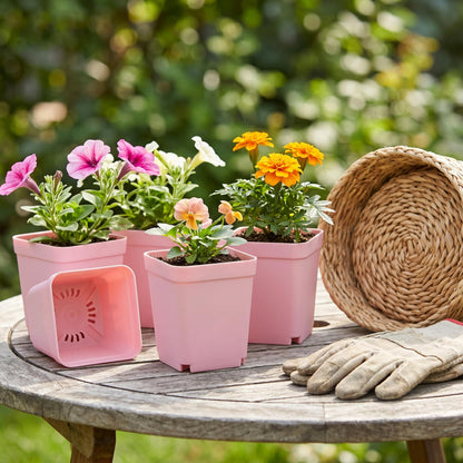 MAHIONG 150PCS 2.8 Inch Square Nursery Plant Pots, Plastic Plant Seedling Pots with Drainage Holes, Pink Plant Seedling Pots for Starting Seedlings or Garden Plant
