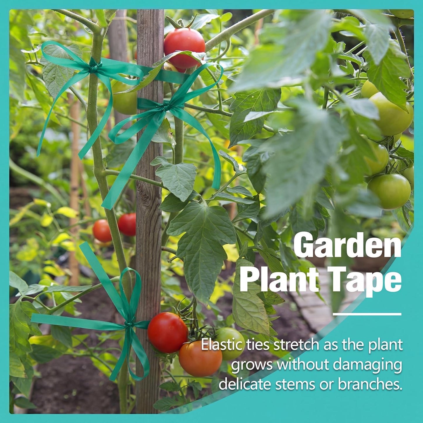 Prudiut 1500 Ft Plant Tape 1/2" Stretch Garden Tape Sturdy Plant Ribbon Nursery Tree Tapes Support for Indoor Outdoor Patio, Tree, Vegetables, Branches