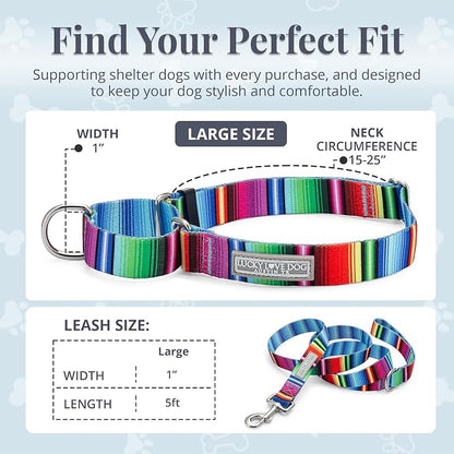 Lucky Love Dog Martingale Dog Collar & Leash - Adjustable, No-Slip, Durable, Comfortable, Soft Webbing, & Stylish Patterned Collar & Leash Set for Male and Female Dogs - Nacho Combo, Large