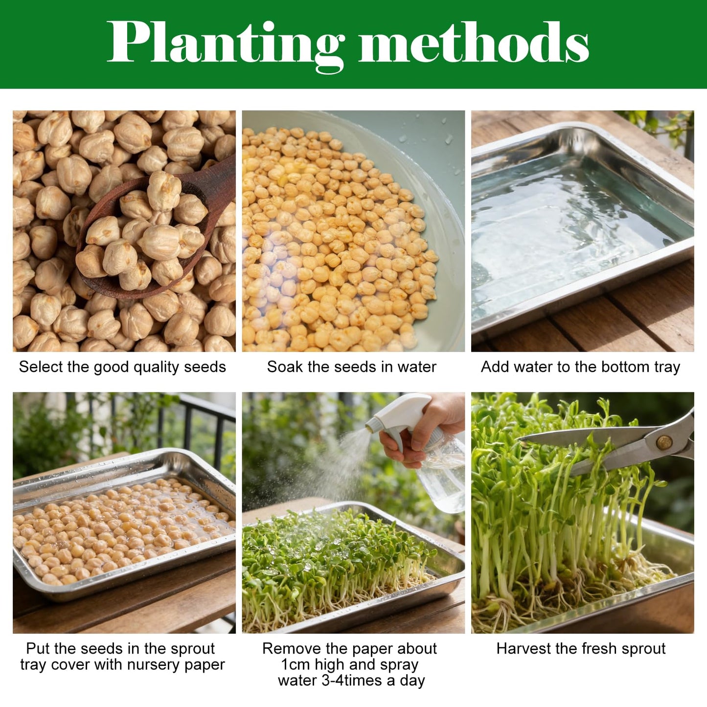 7 Pack Plant Germination Trays, Stainless Steel Plant Trays Metal Trays Stainless Steel Seed Starter Carry Trays Nursery Seedling Pots Water Collection Transplantation for Indoor Germination Sprouts