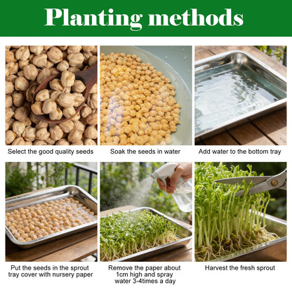 7 Pack Plant Germination Trays, Stainless Steel Plant Trays Metal Trays Stainless Steel Seed Starter Carry Trays Nursery Seedling Pots Water Collection Transplantation for Indoor Germination Sprouts