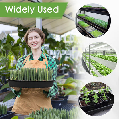 10 Pack 1020 Seed Starting Trays with 12 Hemp Grow Mats - Extra Thick Microgreens Growing Kit, 21 x 11 x 2.5 Inch Plant Trays with Hydroponic Grow Pads for Wheatgrass, Sprouts, Organic Gardening