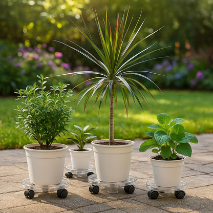 KvyusFlourish 4 Packs 18 inches Extra-large Clear Plant Caddy Plant Saucers on Wheels Rolling Plant Stands Heavy-duty Plant Dolly Plastic Planter Roller Base Pot Movers Outdoor Plant Tray Coaster