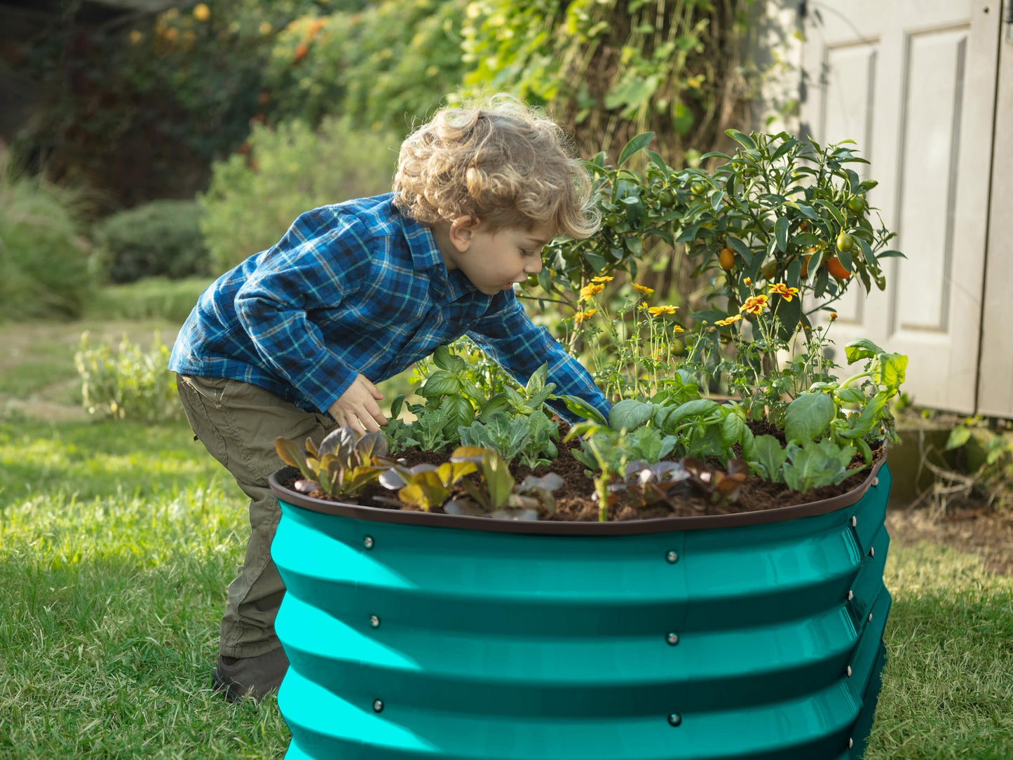 Plant & Plot Galvanized Raised Garden Beds Outdoor // 4×2×1 ft Planter Raised Beds for Gardening, Vegetables, Flowers // Large Metal Garden Box (Turquoise)
