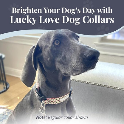 Lucky Love Dog Martingale Dog Collar - Adjustable, No-Slip, Durable, & Soft Webbing Collar for Male and Female Dogs Ideal for Training & Walking - in Unique Pongo Pattern, Small