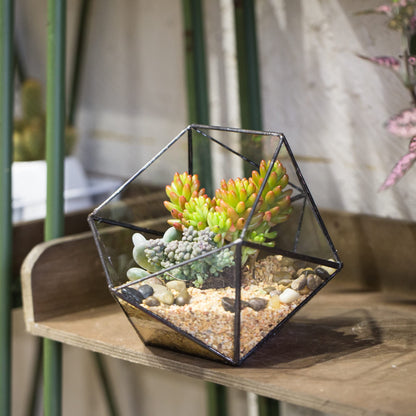 NCYP Opened Geometric Glass Terrarium, 6.69" Bowl Shape Planter for Succulent Plant Cacti, Indoor Balcony Irregular Decor, Garden Miniature Pot, Tabletop Centerpiece (No Plants)