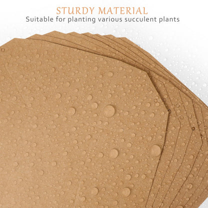 Kisangel Waterproof Buffalo Kraft Paper Mini Succulent Pots Set of 12 with Drainage Holes Small Indoor Outdoor Plant Planters for Home Garden Decoration 3.15X3.35X3.15 Inches