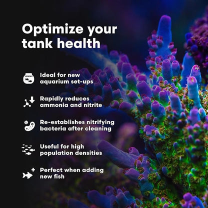 Brightwell Aquatics MicroBacter Start XLM - Concentrated Freshwater Nitrifying Bacteria - Quick Start Fish Tank Starter, Lift Microbe Levels & Water Filtering - Aquarium Water Treatments, 5.28 GAL